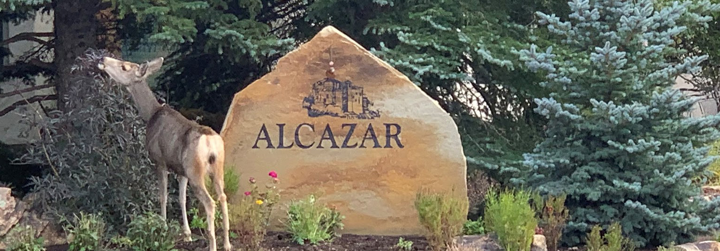 ALCAZAR HOA